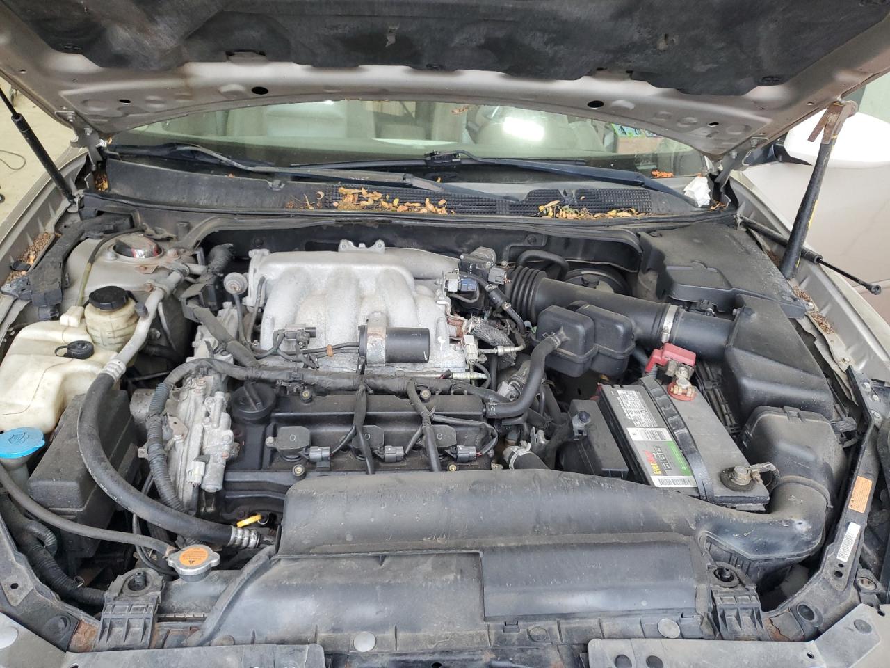 2006 Nissan Maxima Se VIN: 1N4BA41E76C834139 Lot: 70169245