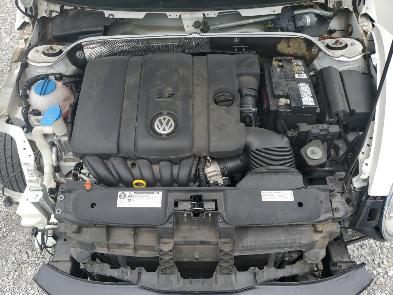 2013 Volkswagen Beetle VIN: 3VWJP7AT5DM687011 Lot: 81880785