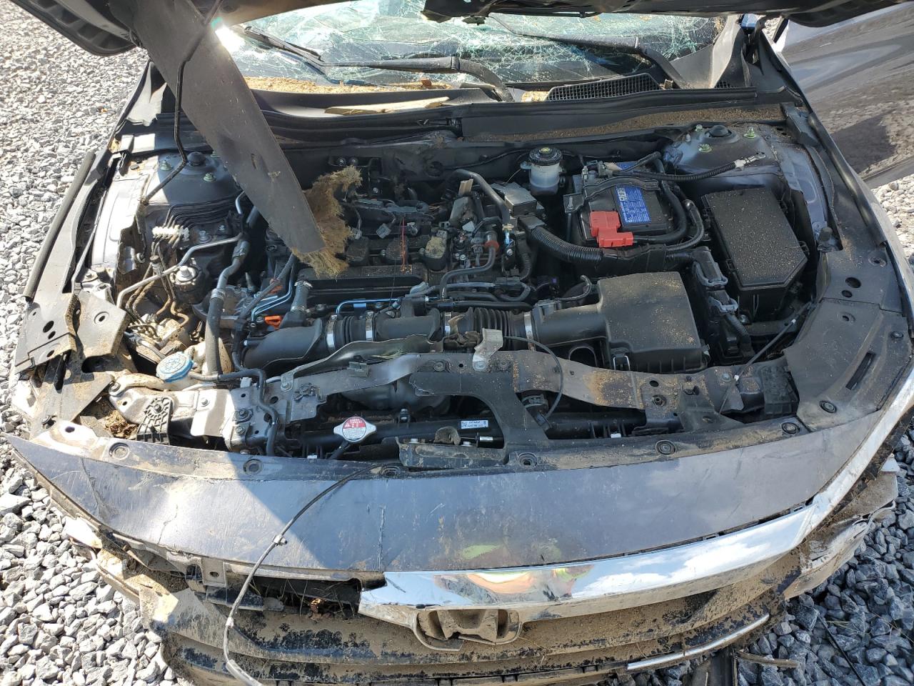 2021 Honda Accord Exl VIN: 1HGCV1F5XMA117058 Lot: 83868745