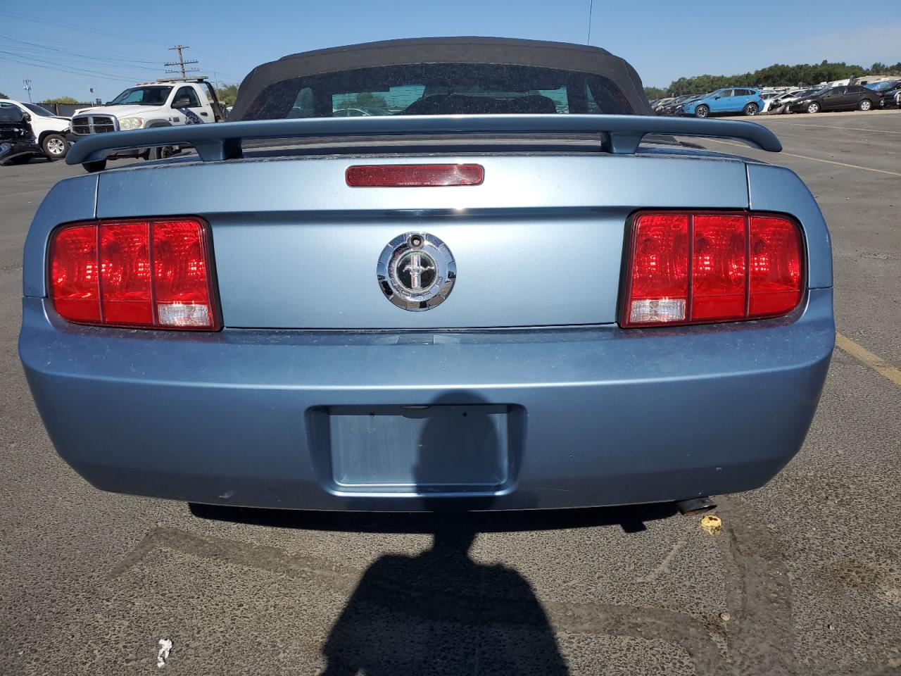 2006 Ford Mustang VIN: 1ZVHT84N165260320 Lot: 80752265