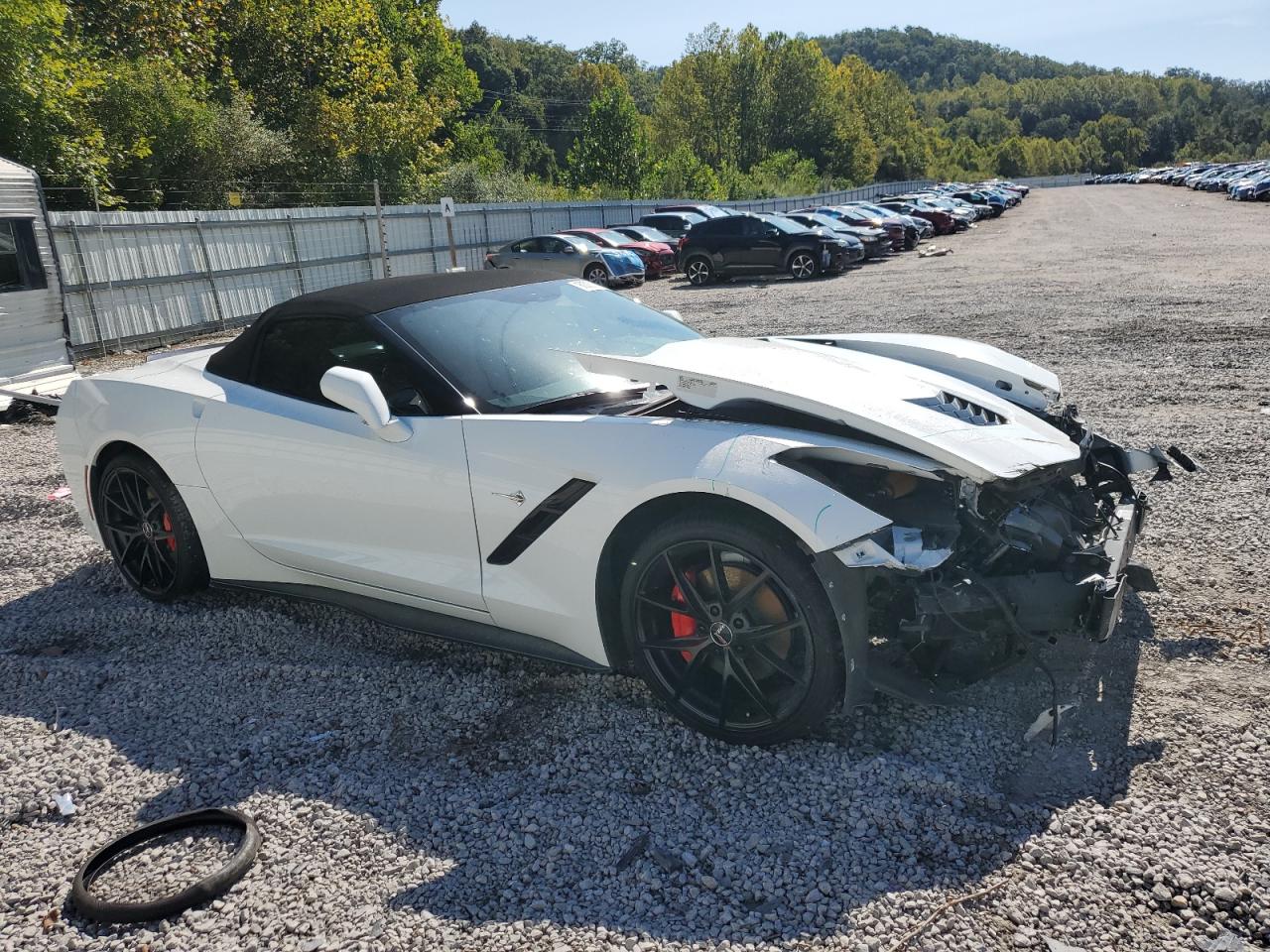 C7 C7