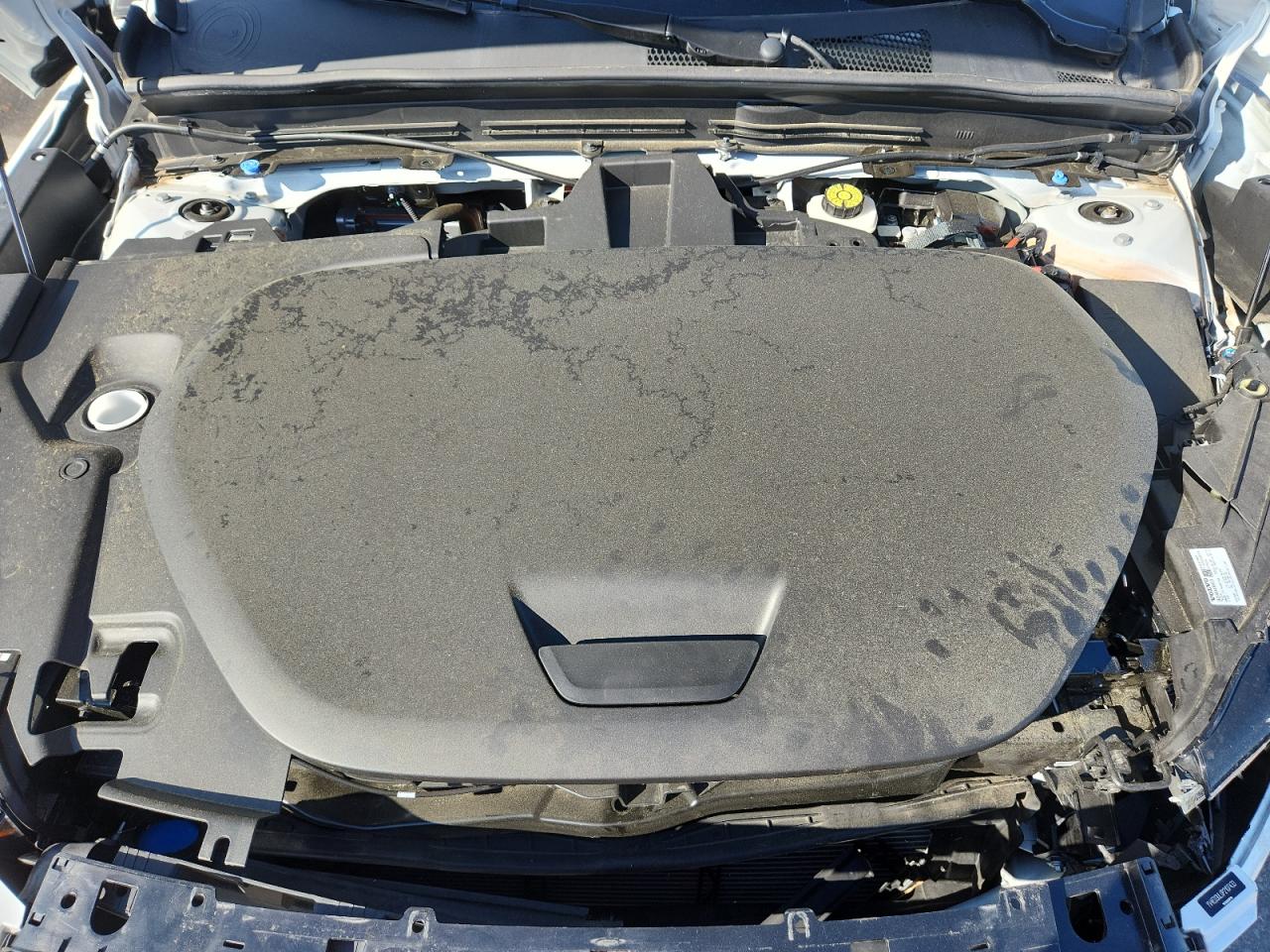 2023 Volvo Xc40 Recharge Plus VIN: YV4ED3UL0P2107433 Lot: 81562335