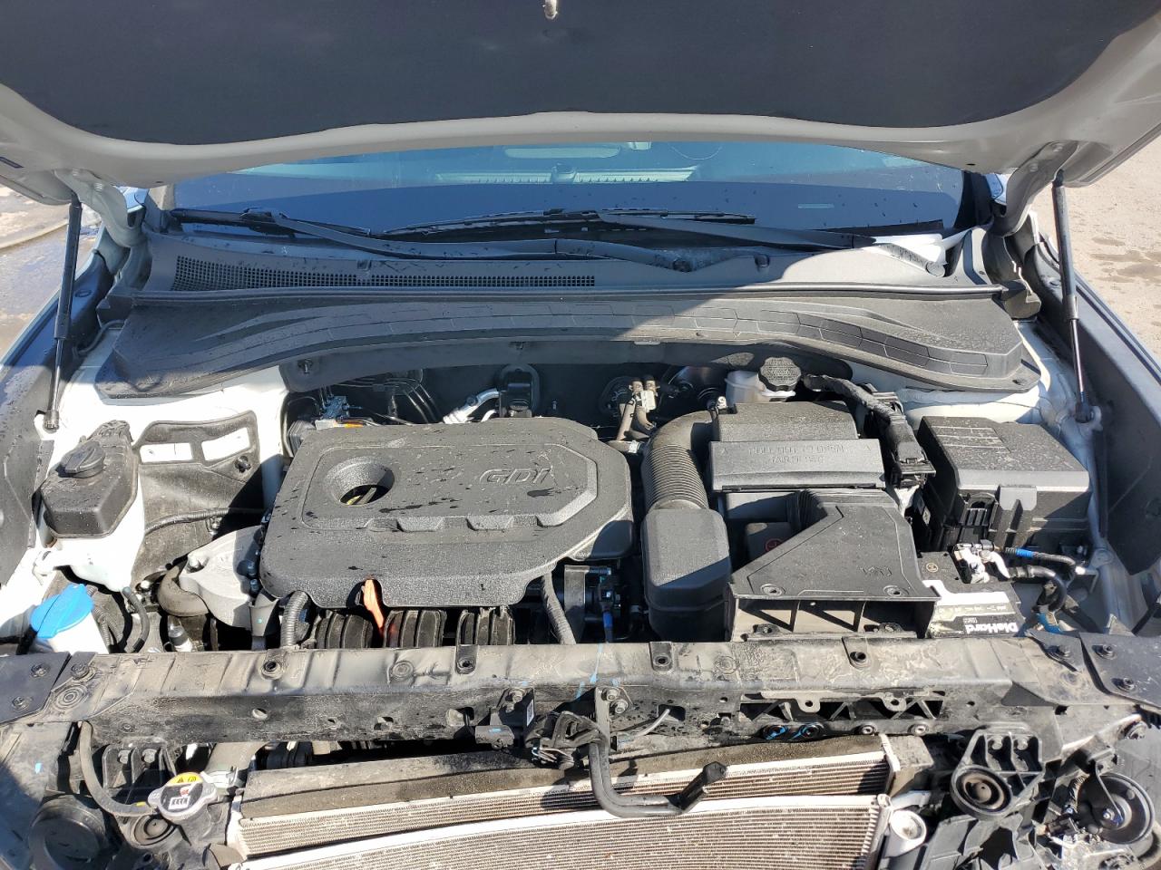 2020 Hyundai Santa Fe Sel VIN: 5NMS33AD8LH214001 Lot: 72024085