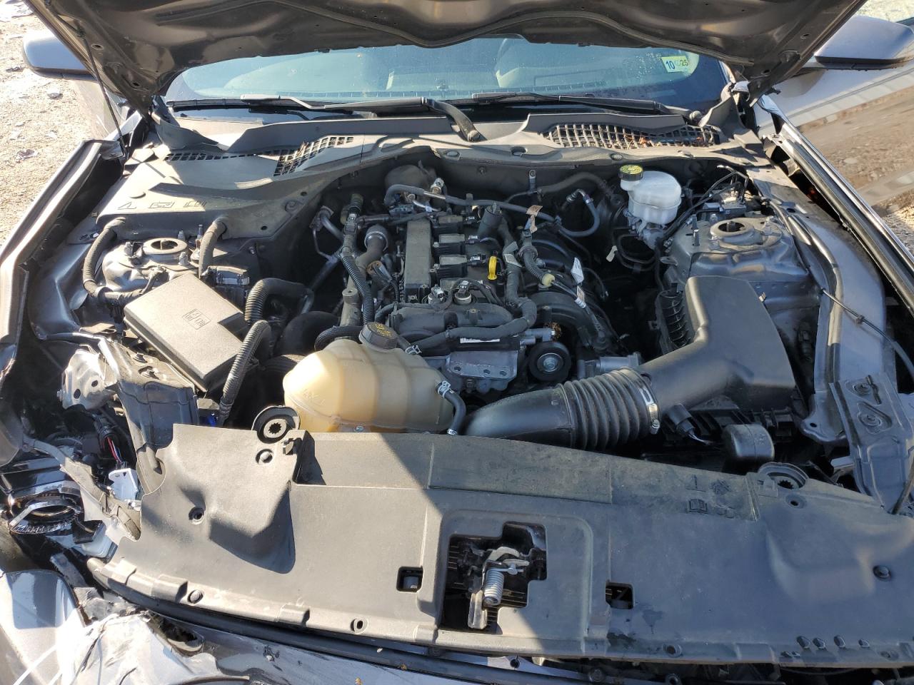 2021 Ford Mustang VIN: 1FA6P8TH3M5134201 Lot: 81665885