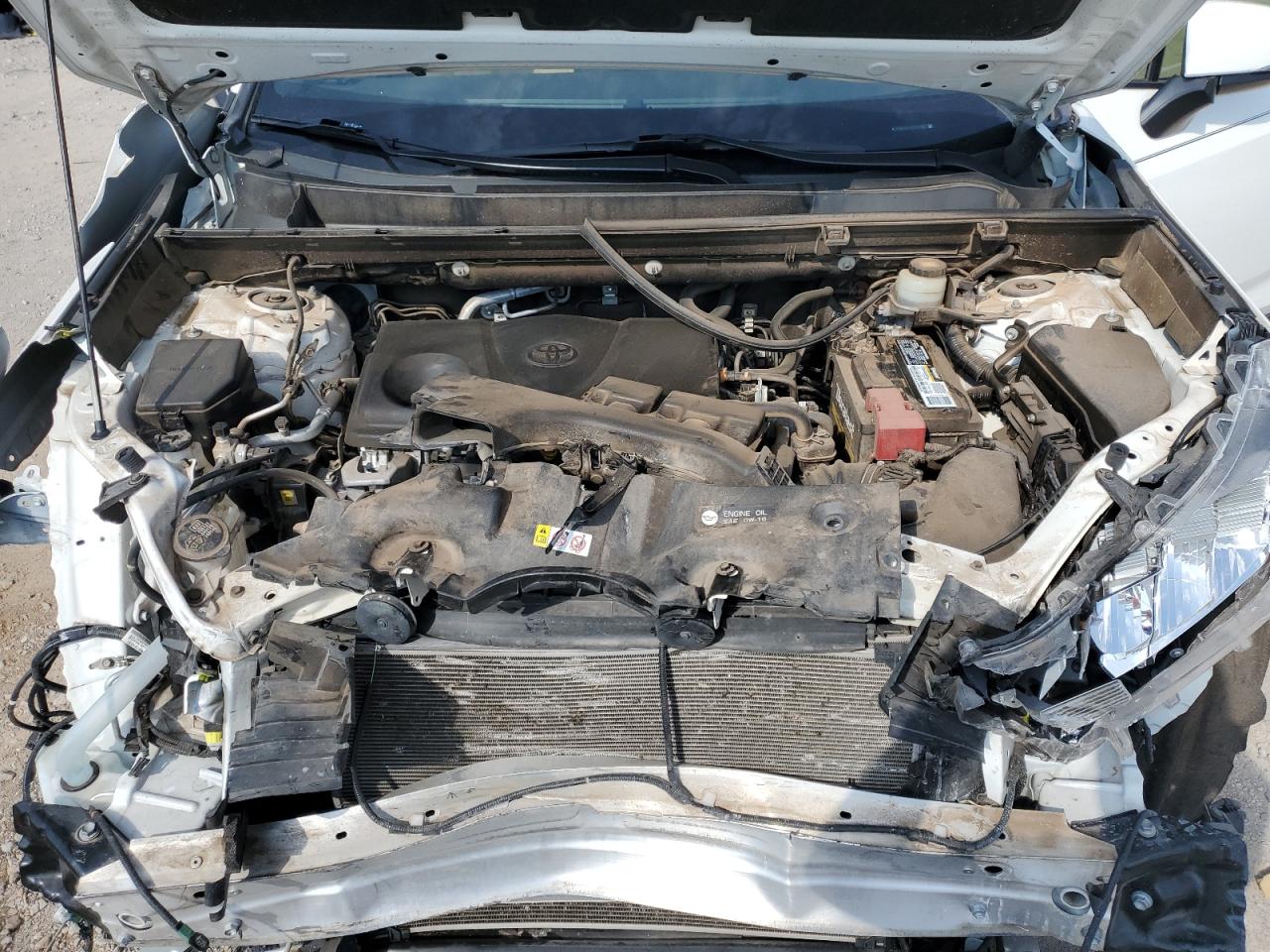 2020 Toyota Rav4 Xle VIN: JTMW1RFV3LD521807 Lot: 71913595