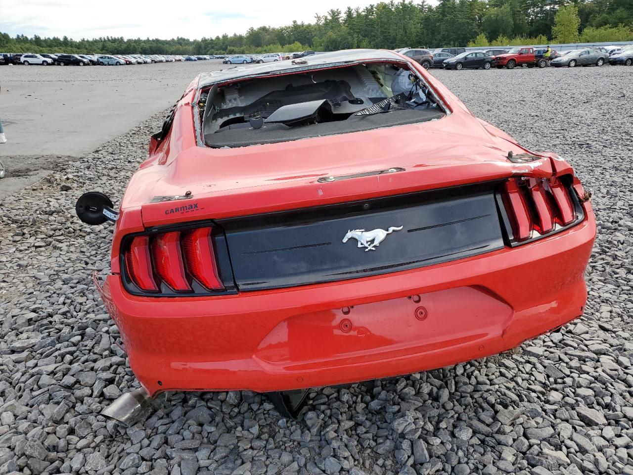 2021 Ford Mustang VIN: 1FA6P8TH1M5142149 Lot: 81093835