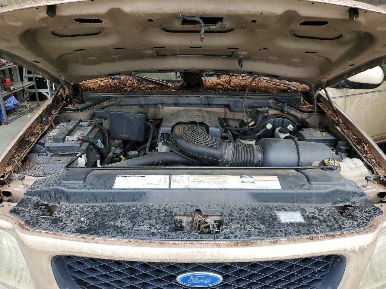 1997 Ford F150 VIN: 1FTDX1769VNA72077 Lot: 84456045