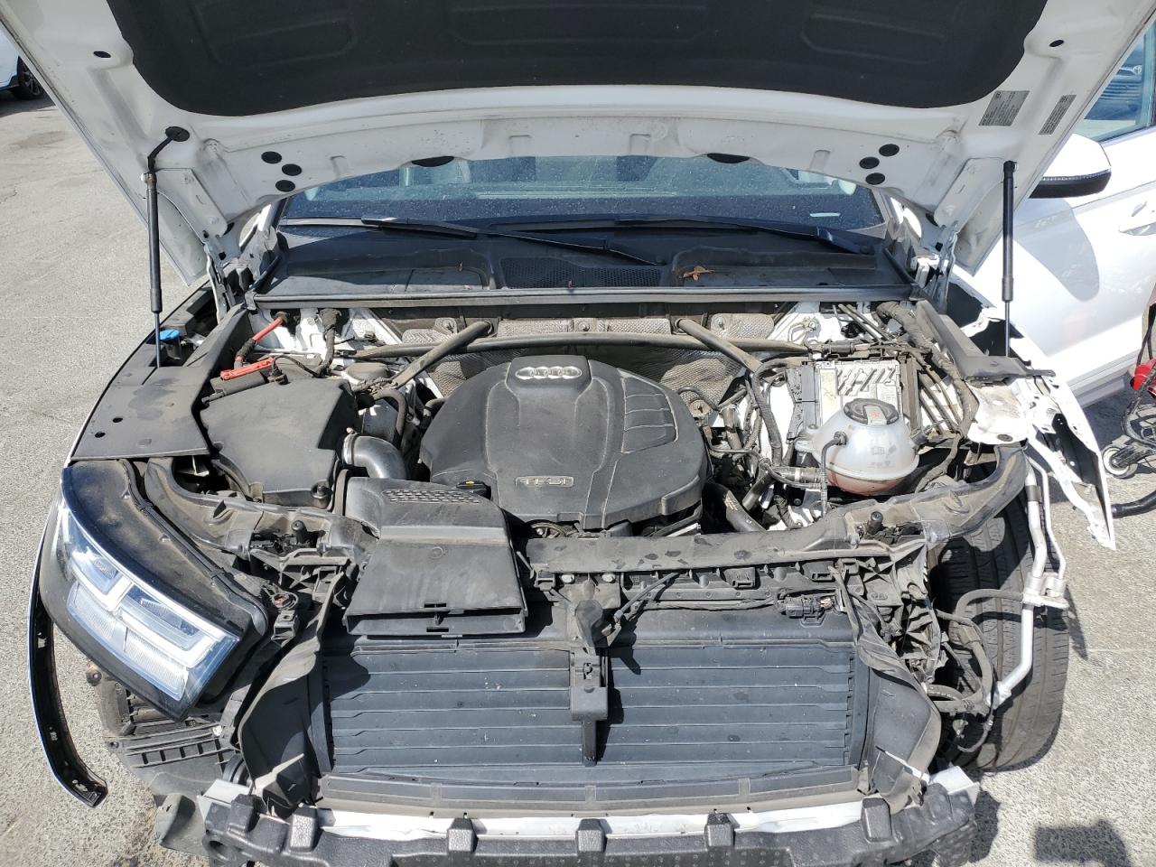 2019 Audi Q5 Premium Plus VIN: WA1BNAFY1K2109310 Lot: 71875955