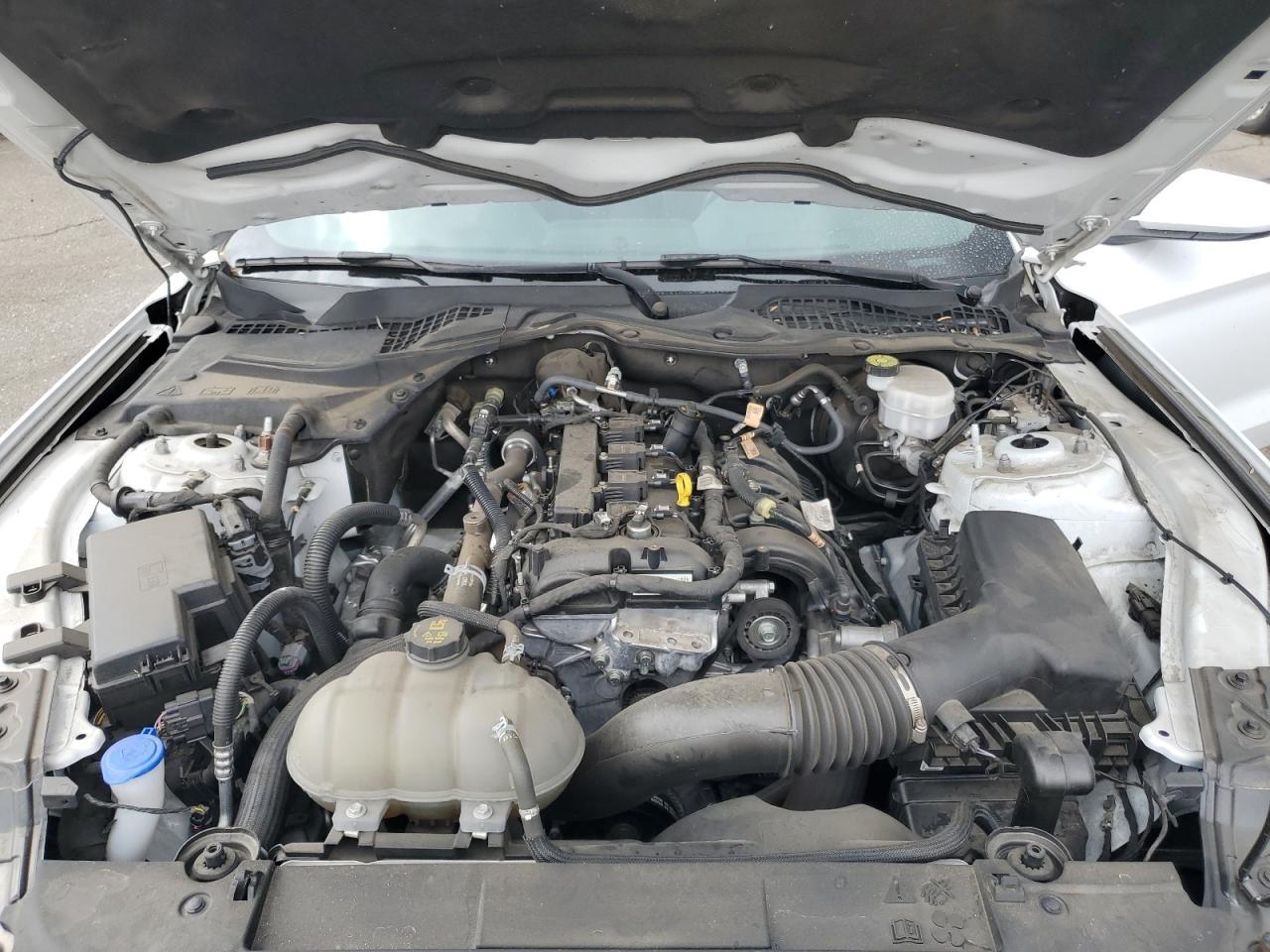 2022 Ford Mustang VIN: 1FA6P8TH7N5113871 Lot: 81385545