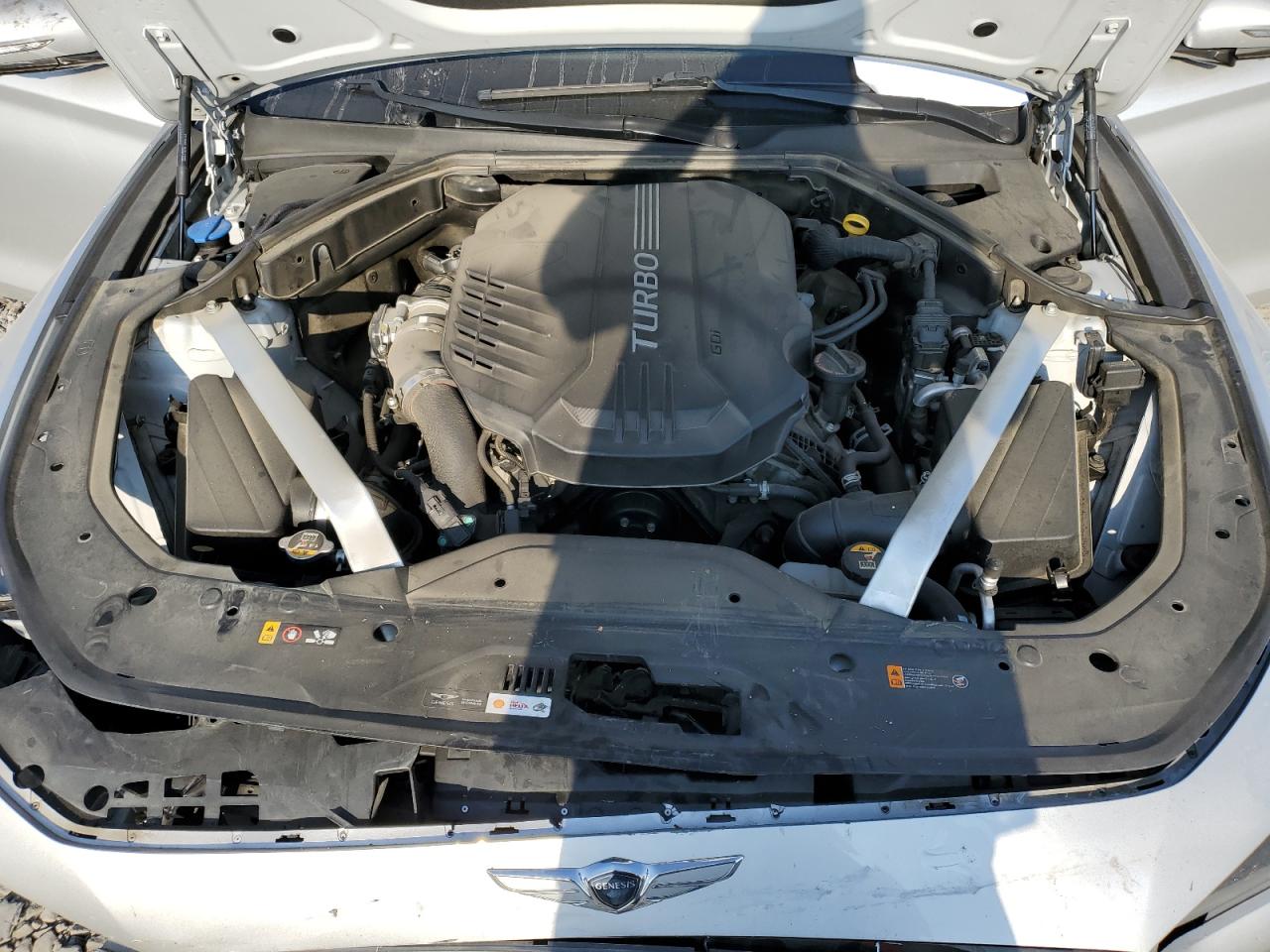 2019 Genesis G70 Prestige VIN: KMTG34LE6KU020206 Lot: 81162565