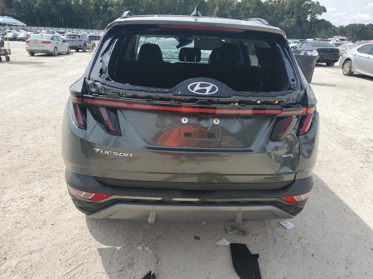 2023 Hyundai Tucson Limited VIN: 5NMJECAEXPH162858 Lot: 81158825