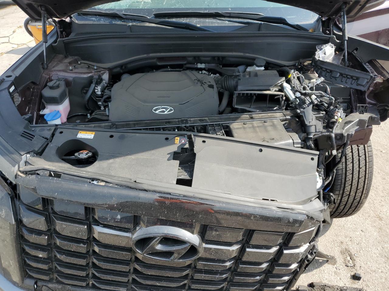 2024 Hyundai Palisade Sel VIN: KM8R2DGE2RU741374 Lot: 81117145