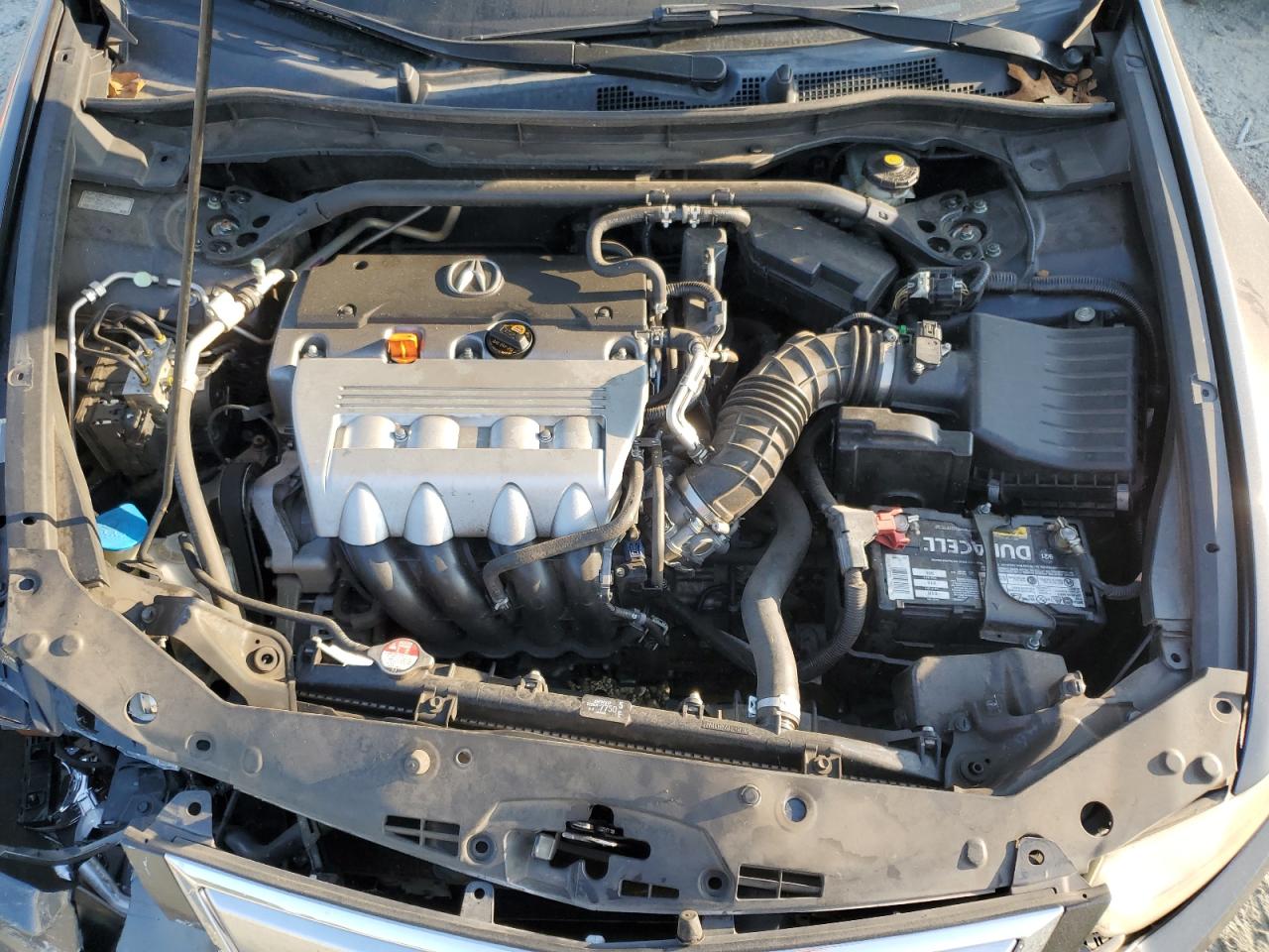 2012 Acura Tsx VIN: JH4CU2F47CC014499 Lot: 81131205