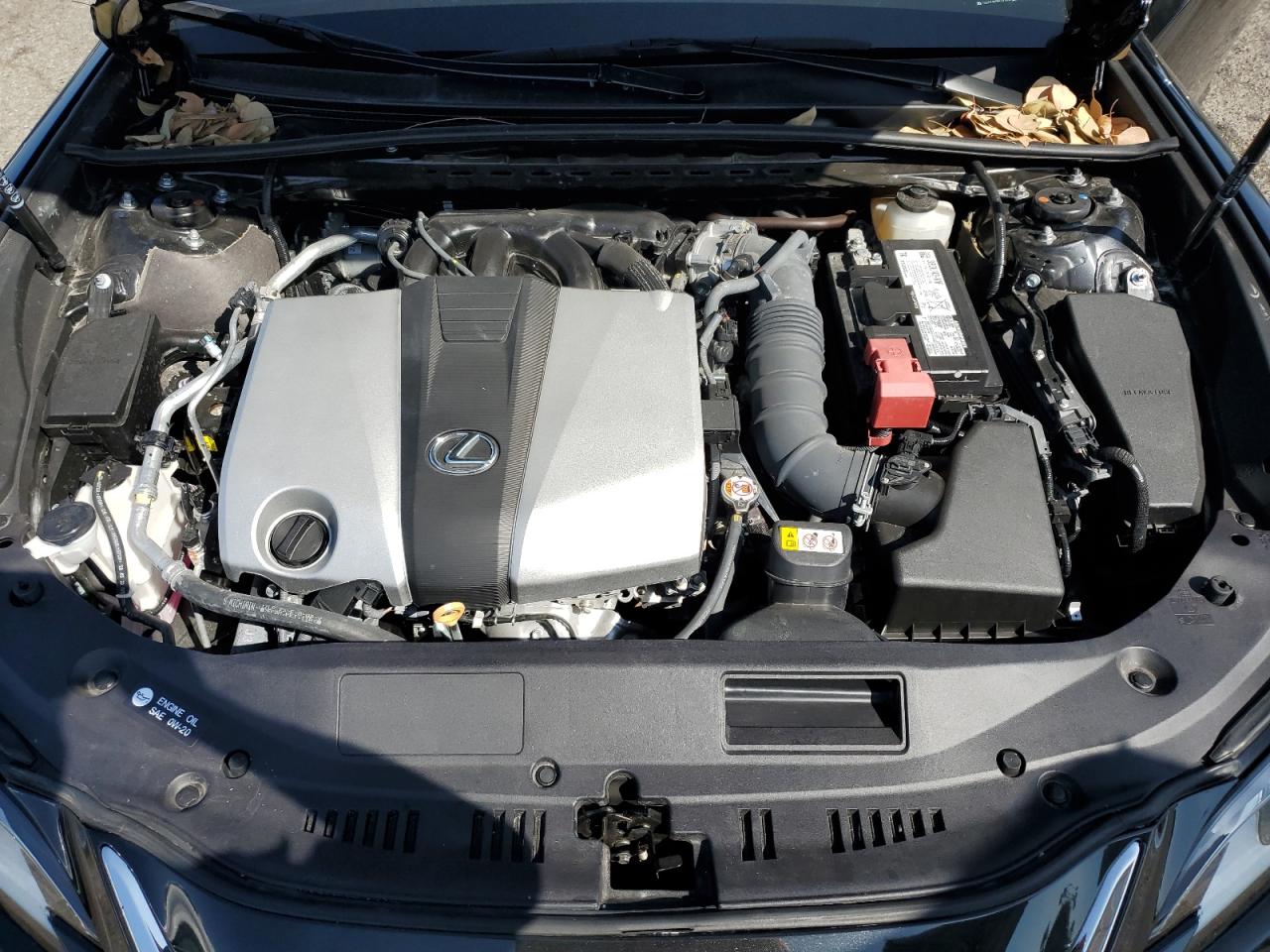 2024 Lexus Es 350 Base VIN: 58ADZ1B12RU171684 Lot: 81999225