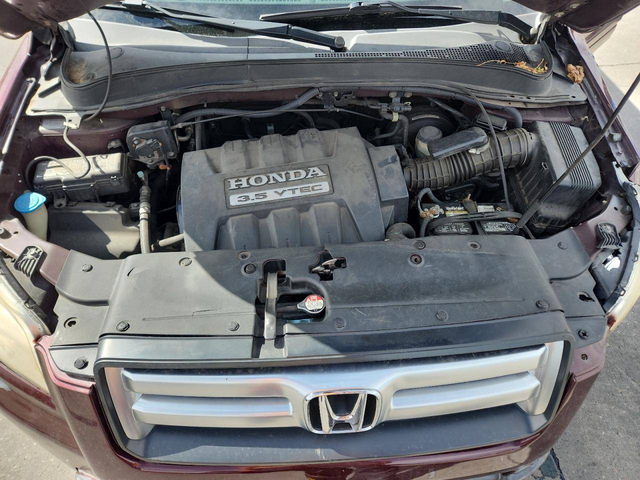 2008 Honda Pilot Se VIN: 5FNYF18368B044894 Lot: 81018165