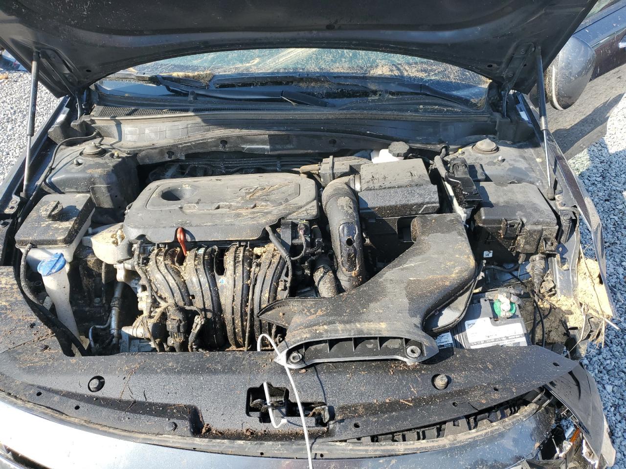 2020 Kia Optima Lx VIN: 5XXGT4L33LG432300 Lot: 81165795