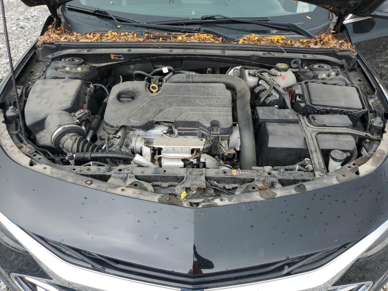 2020 Chevrolet Malibu Ls VIN: 1G1ZB5ST5LF129805 Lot: 81709255