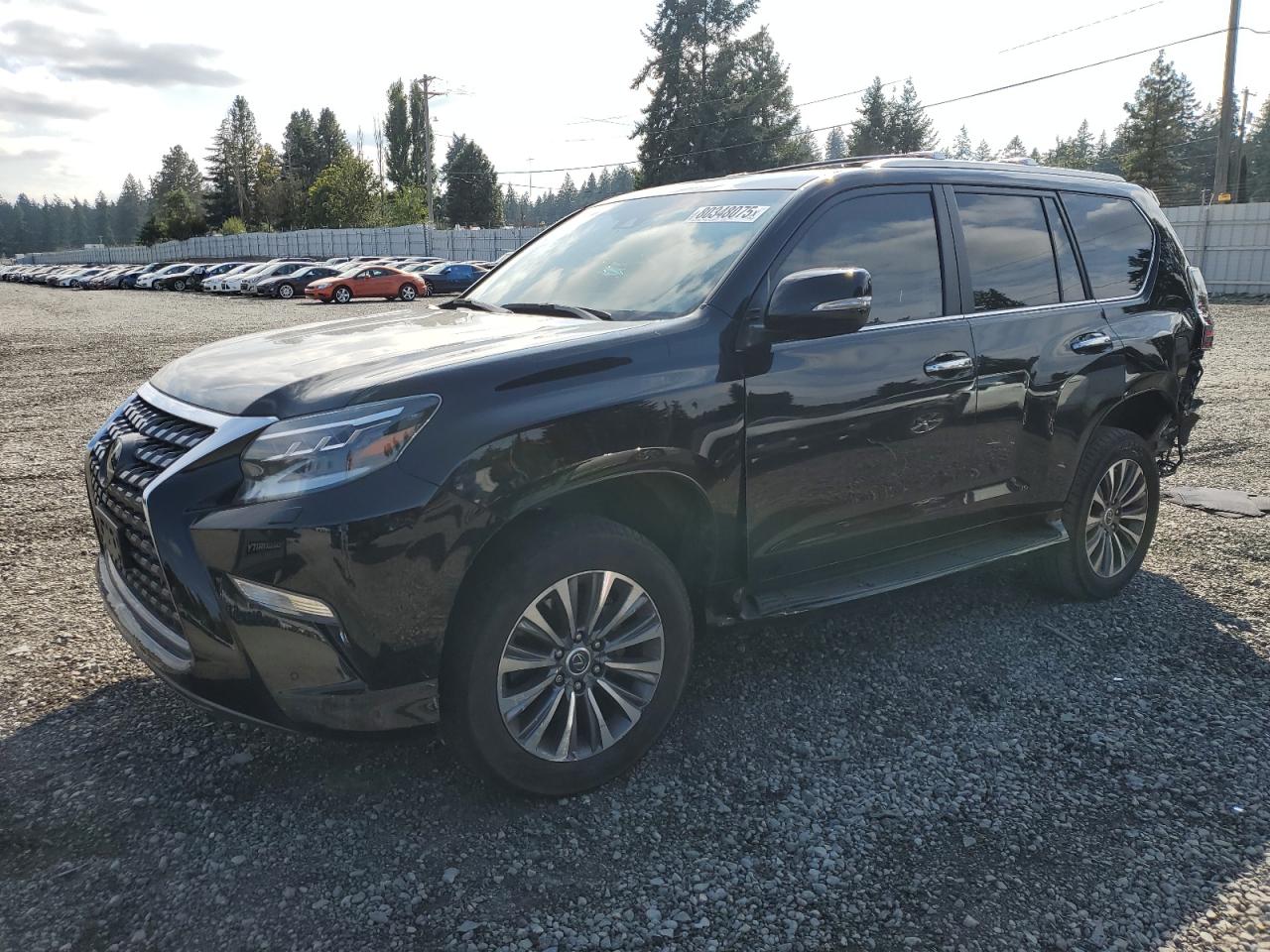 2021 Lexus Gx 460 Luxury