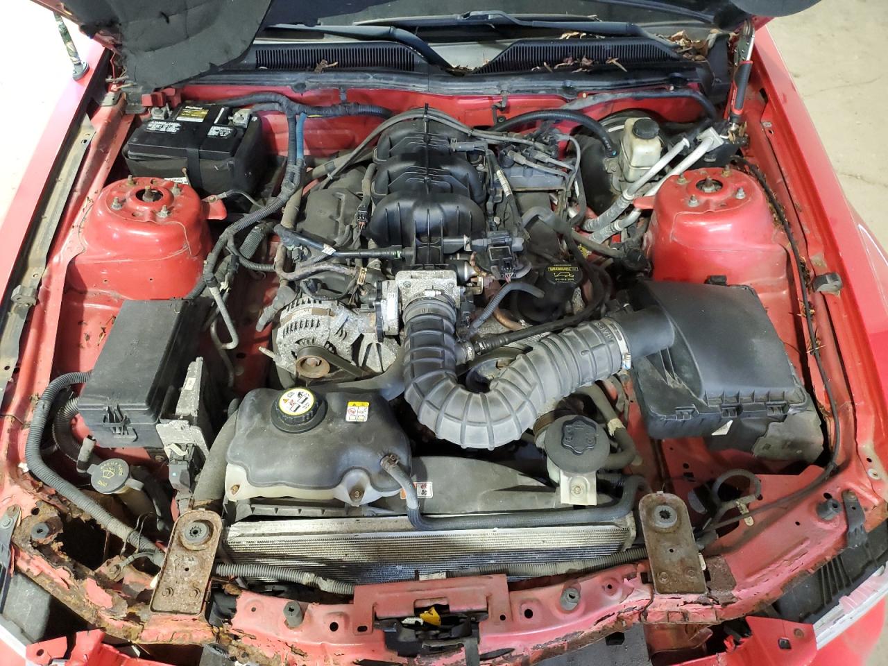 2009 Ford Mustang VIN: 1ZVHT80N995121689 Lot: 84250005