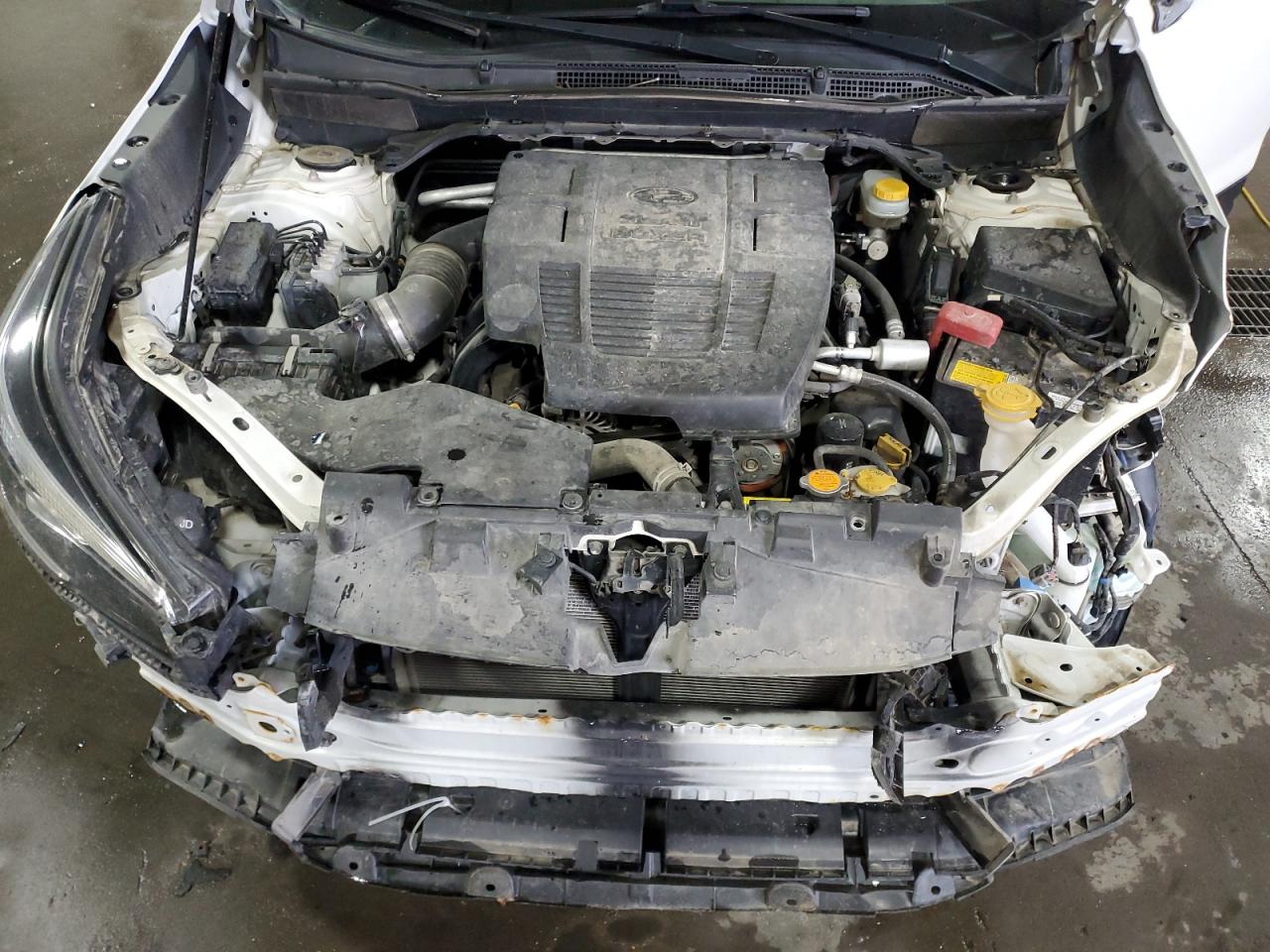 2019 Subaru Forester Premium VIN: JF2SKAEC6KH420895 Lot: 81460205