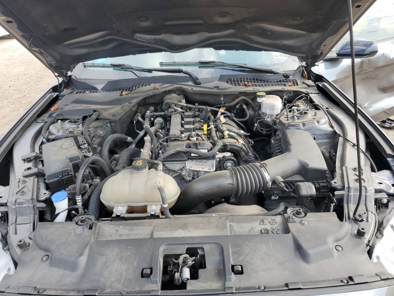 2022 Ford Mustang VIN: 1FA6P8TH3N5111941 Lot: 71311555