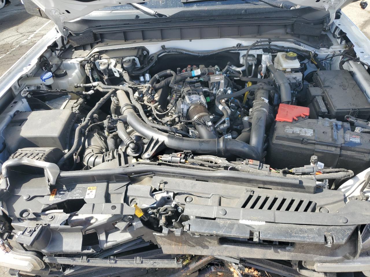 2024 Ford Bronco Wildtrak VIN: 1FMEE2BP9RLA25385 Lot: 80220155