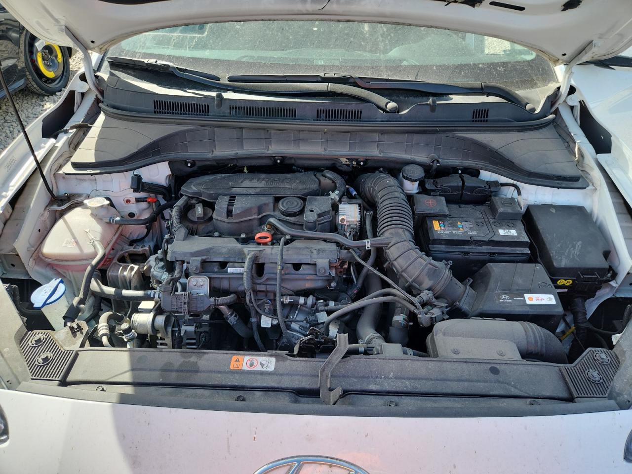 2023 Hyundai Kona Limited VIN: KM8K5CA38PU050678 Lot: 81032145