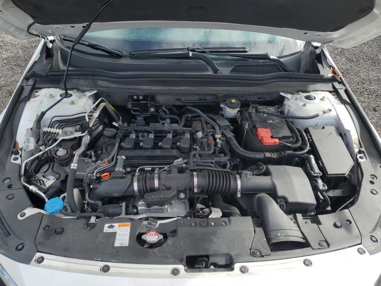 2021 Honda Accord Lx VIN: 1HGCV1F13MA103922 Lot: 81507475