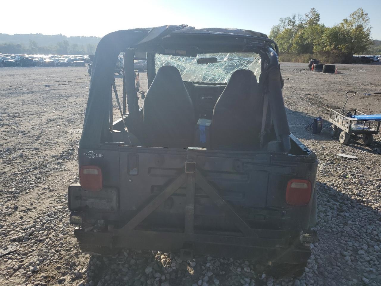 2001 Jeep Wrangler / Tj Sport VIN: 1J4FA49S91P304692 Lot: 81759885