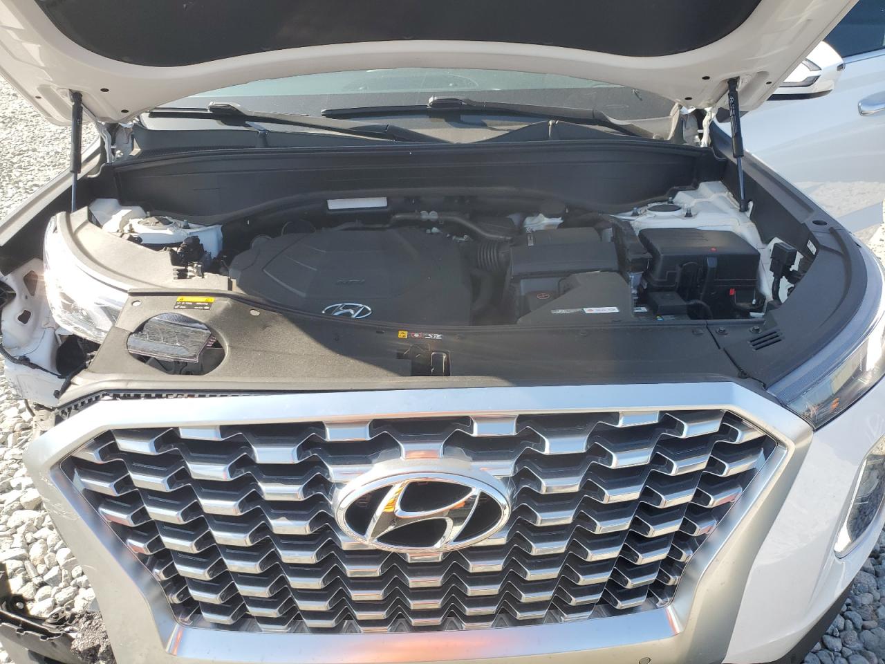 2020 Hyundai Palisade Sel VIN: KM8R44HE5LU079466 Lot: 81627395