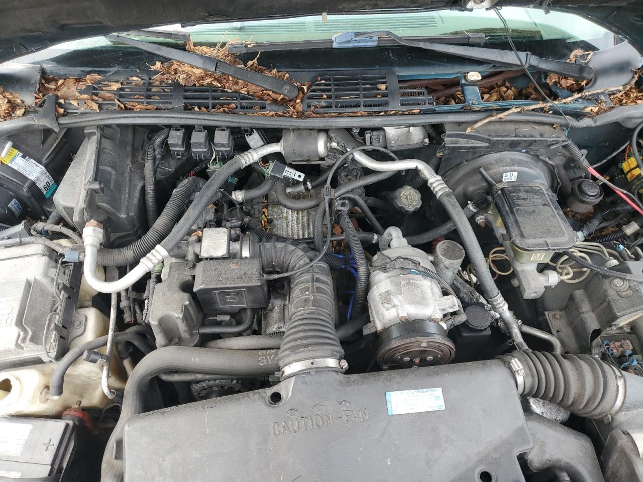 1997 Isuzu Hombre VIN: 1GGCS1445V8656678 Lot: 71644175