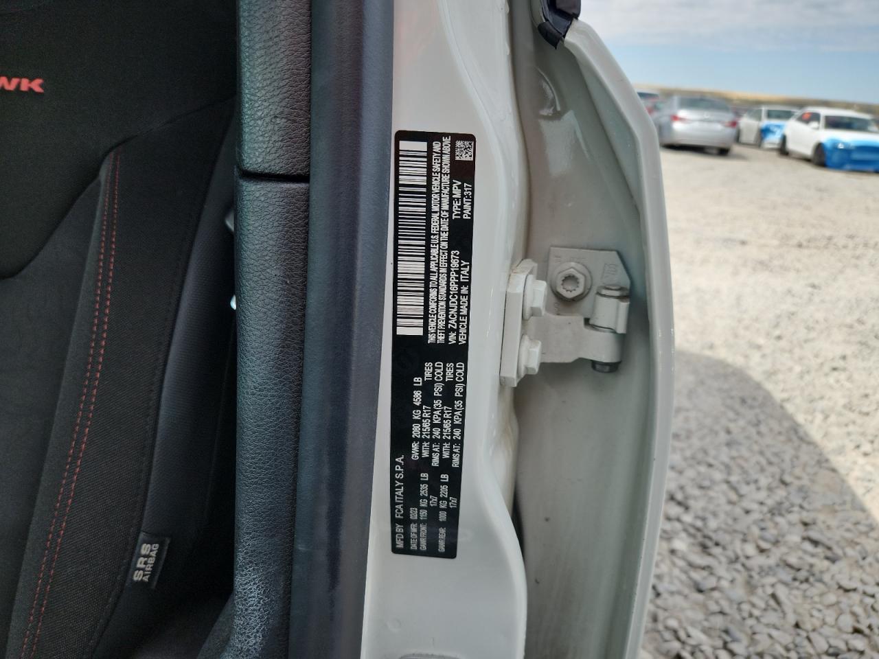 2023 Jeep Renegade Trailhawk VIN: ZACNJDC16PPP19673 Lot: 80384275