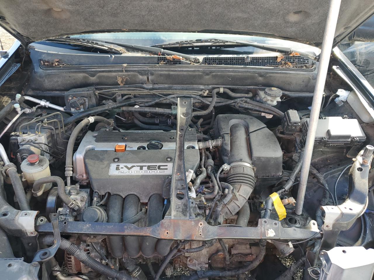 2005 Honda Cr-V Lx VIN: JHLRD68595C004233 Lot: 80391385