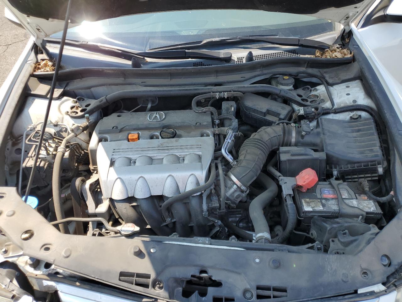 2012 Acura Tsx VIN: JH4CU2F41CC003420 Lot: 71792355