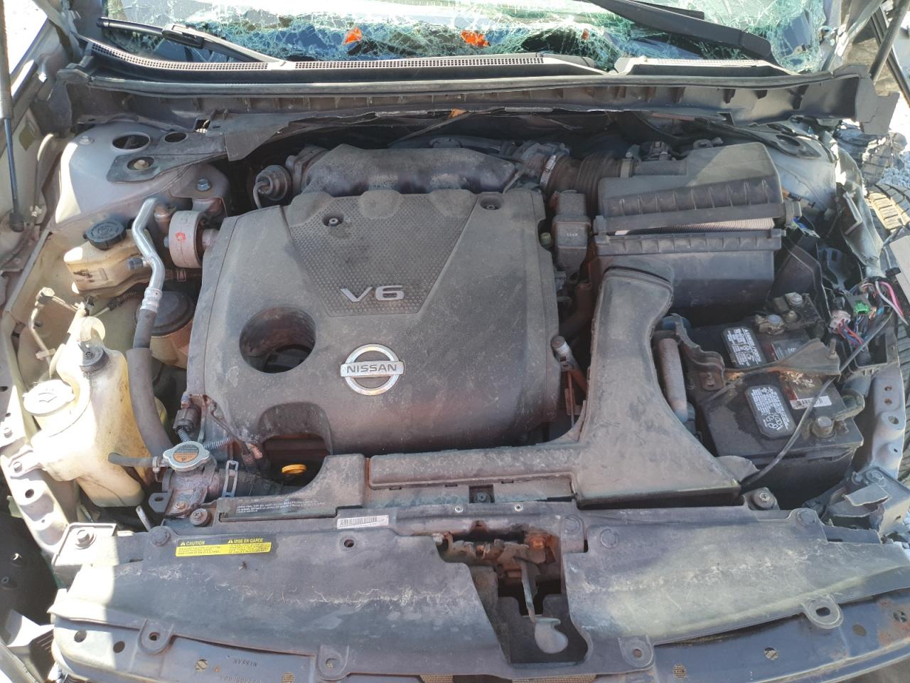 2009 Nissan Maxima S VIN: 1N4AA51E89C846970 Lot: 80130055