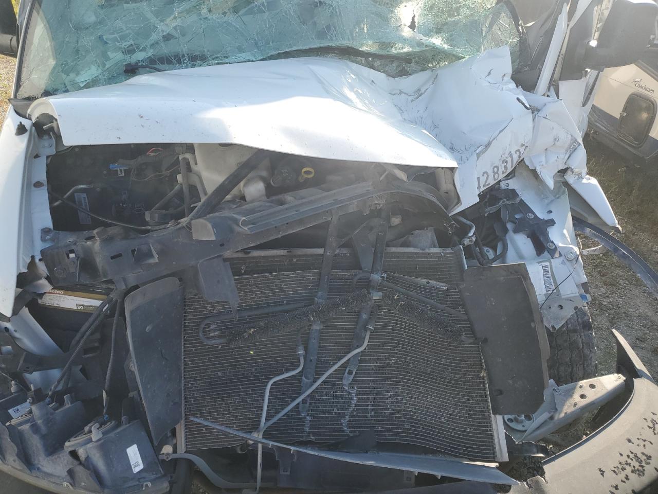 2019 Chevrolet Express G3500 VIN: 1GB0GRFGXK1356008 Lot: 81404845