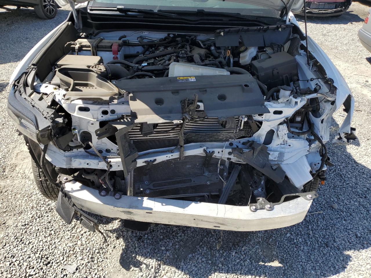 2024 Toyota Tacoma Double Cab VIN: 3TMKB5FN4RM001696 Lot: 81676695