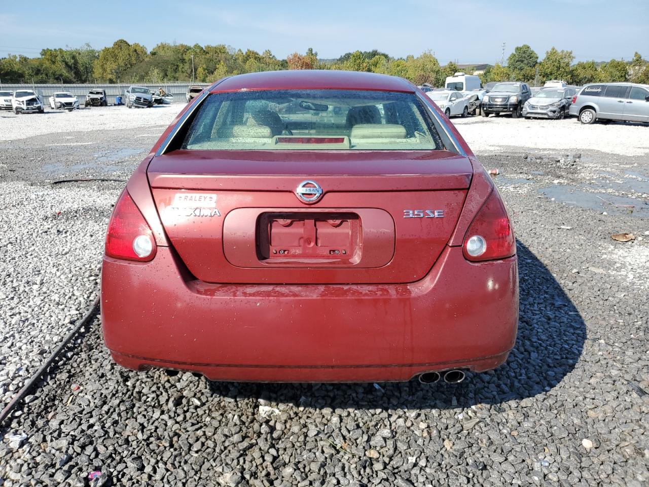 2005 Nissan Maxima Se VIN: 1N4BA41E15C858239 Lot: 80649015