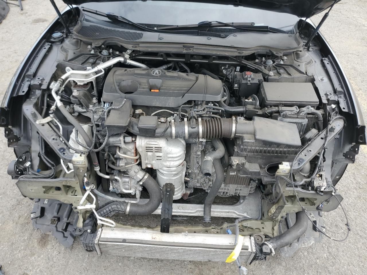 2023 Acura Tlx A-Spec VIN: 19UUB6F5XPA001955 Lot: 81107585