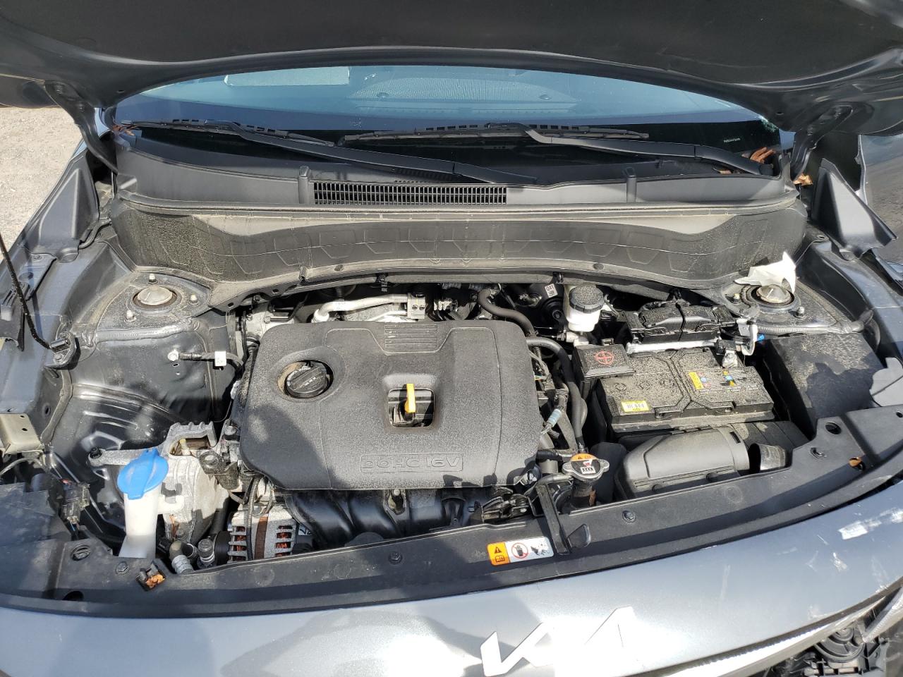 2023 Kia Seltos S VIN: KNDEUCAA7P7354795 Lot: 84739705