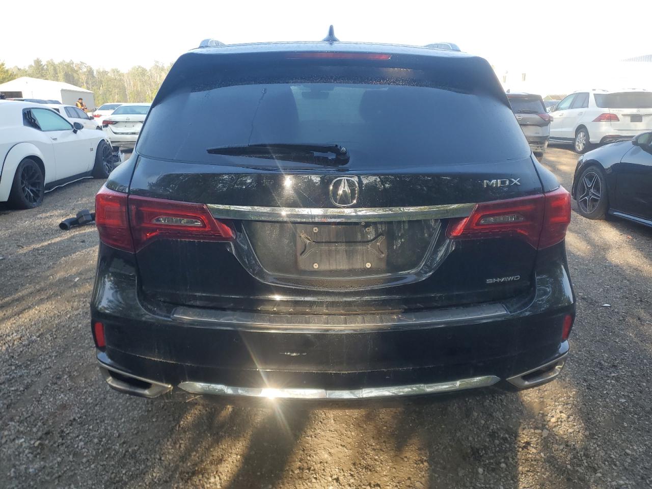 2017 Acura Mdx Advance VIN: 5FRYD4H83HB500433 Lot: 80031585
