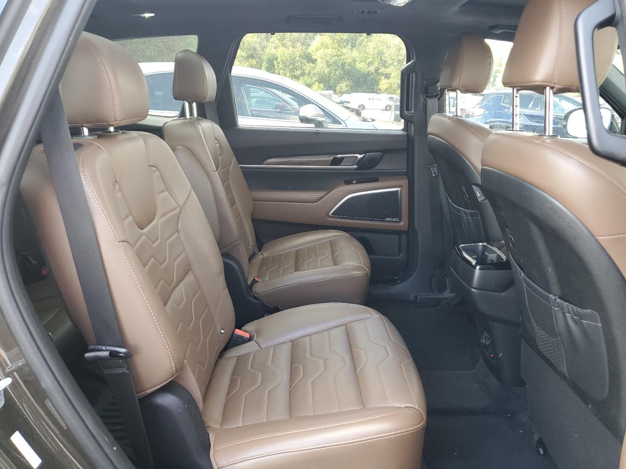 2020 Kia Telluride Sx VIN: 5XYP5DHC7LG079378 Lot: 81420375