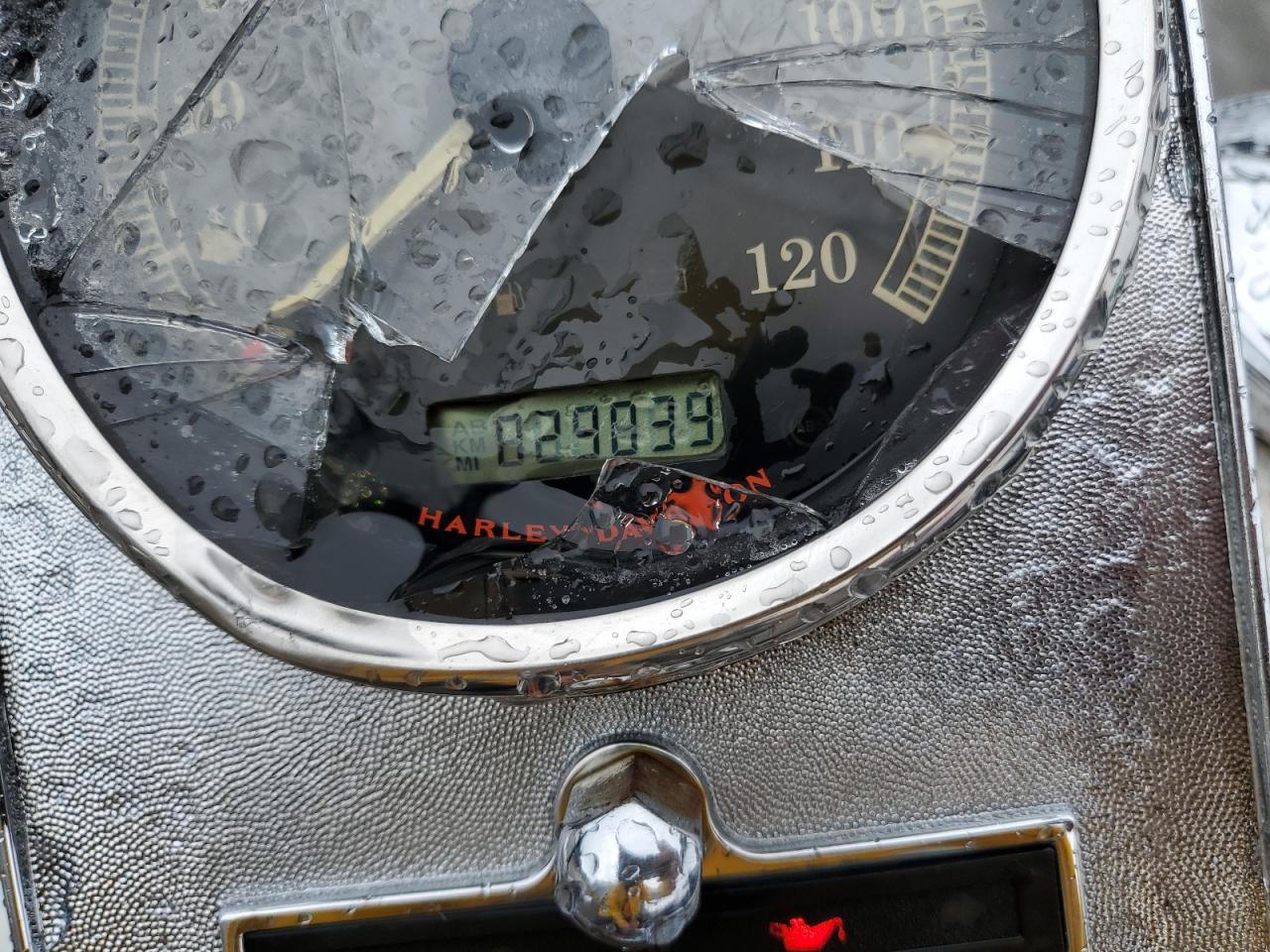 2008 Harley-Davidson Flstc VIN: 1HD1BW5168Y036466 Lot: 81666615