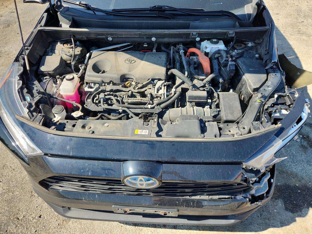 2021 Toyota Rav4 Xle VIN: 4T3RWRFV9MU048191 Lot: 80519475