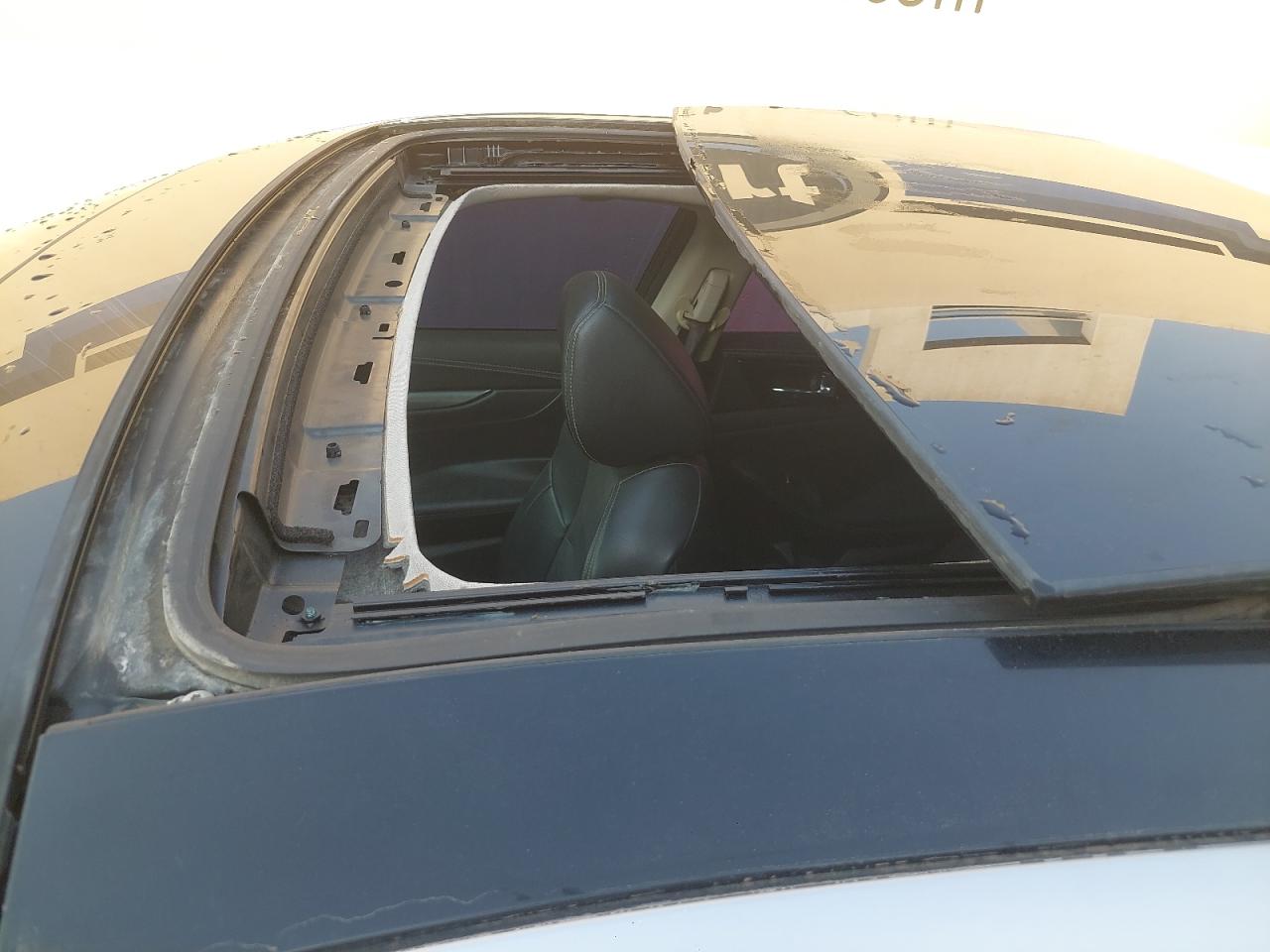 1N4AA6DVXLC368687 - 2007 Nissan Maxima - #82010705