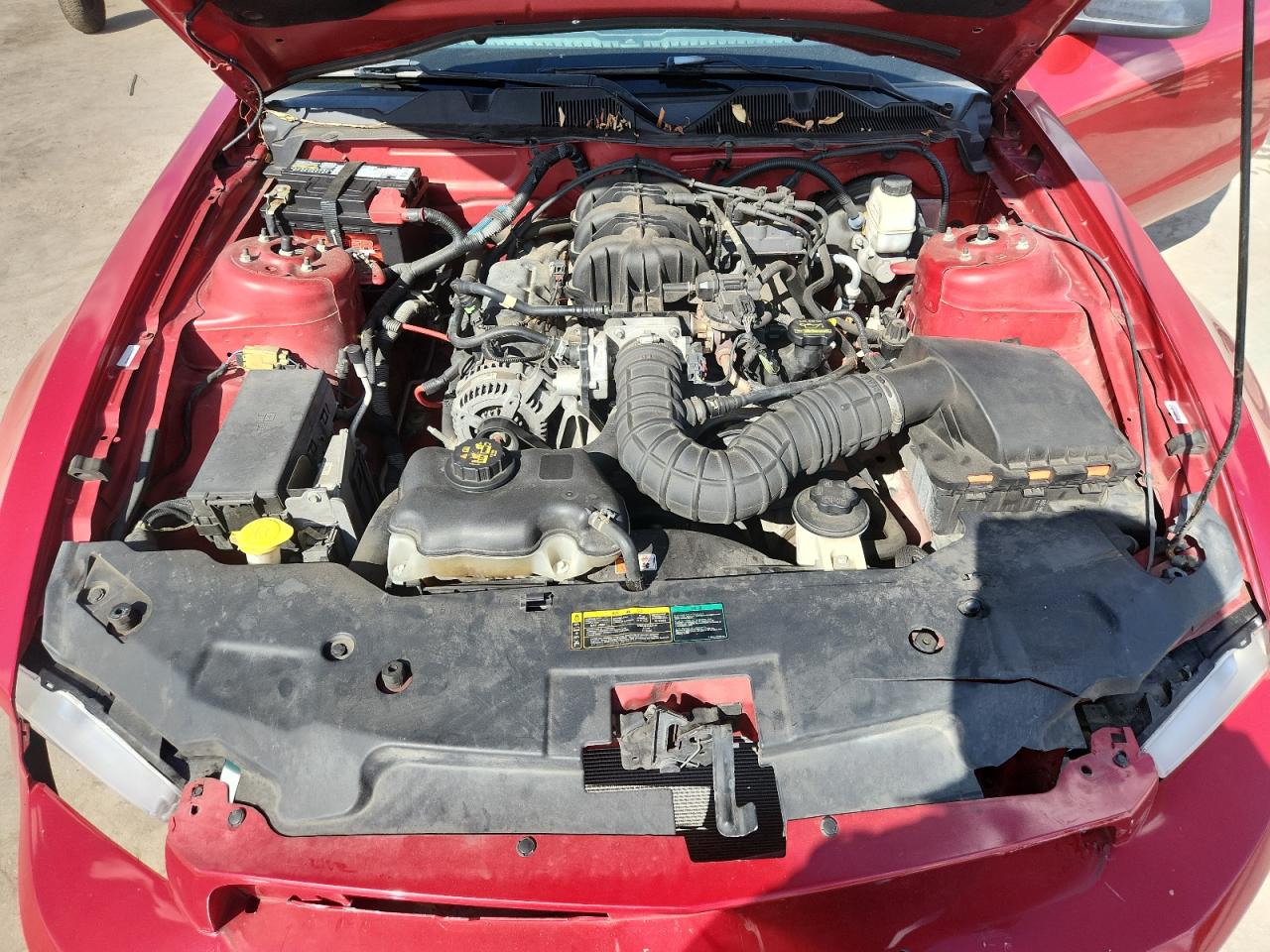 2010 Ford Mustang VIN: 1ZVBP8AN1A5176585 Lot: 83781375