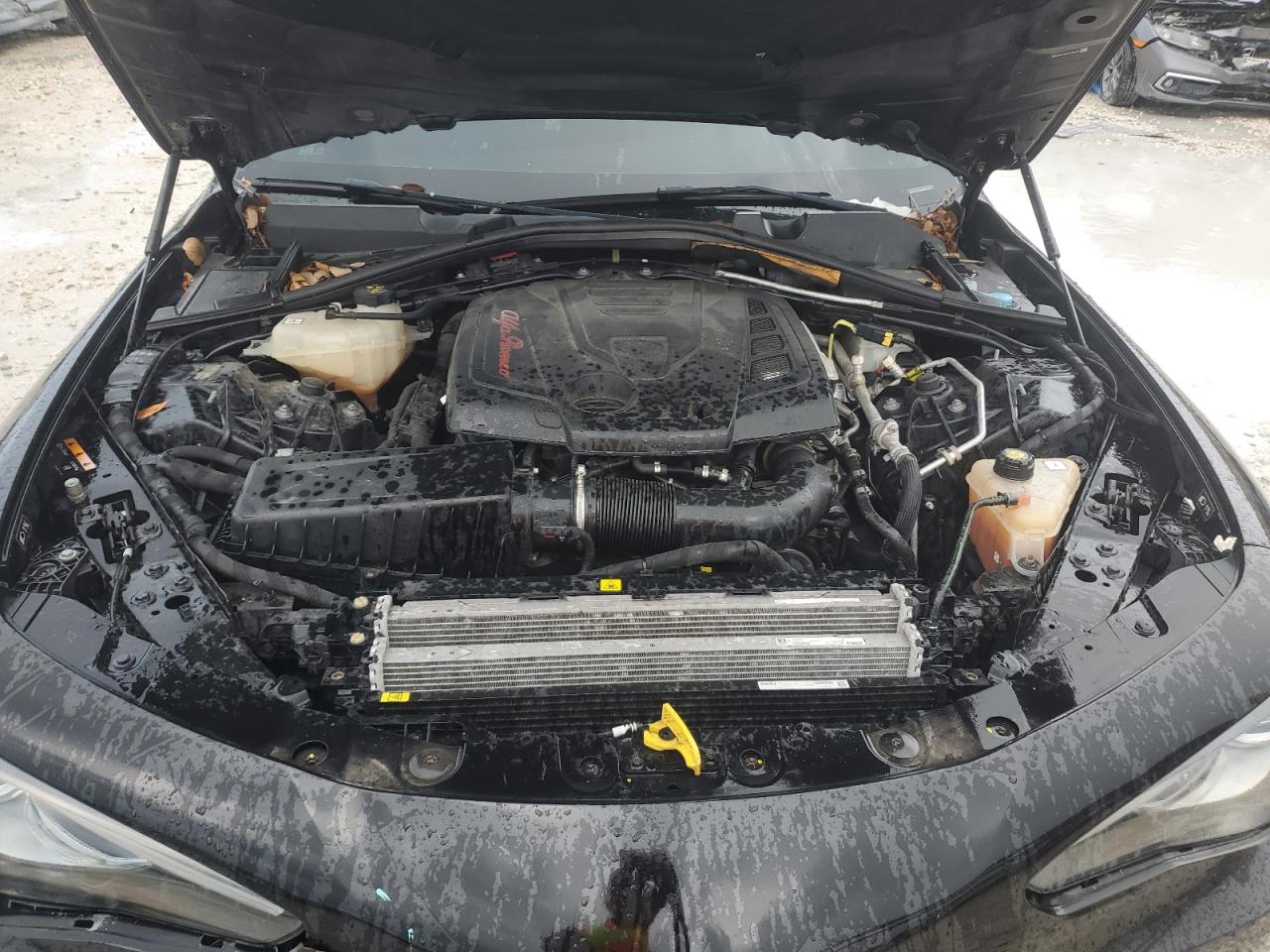 2019 Alfa Romeo Giulia VIN: ZARFAMAN4K7598974 Lot: 84188335