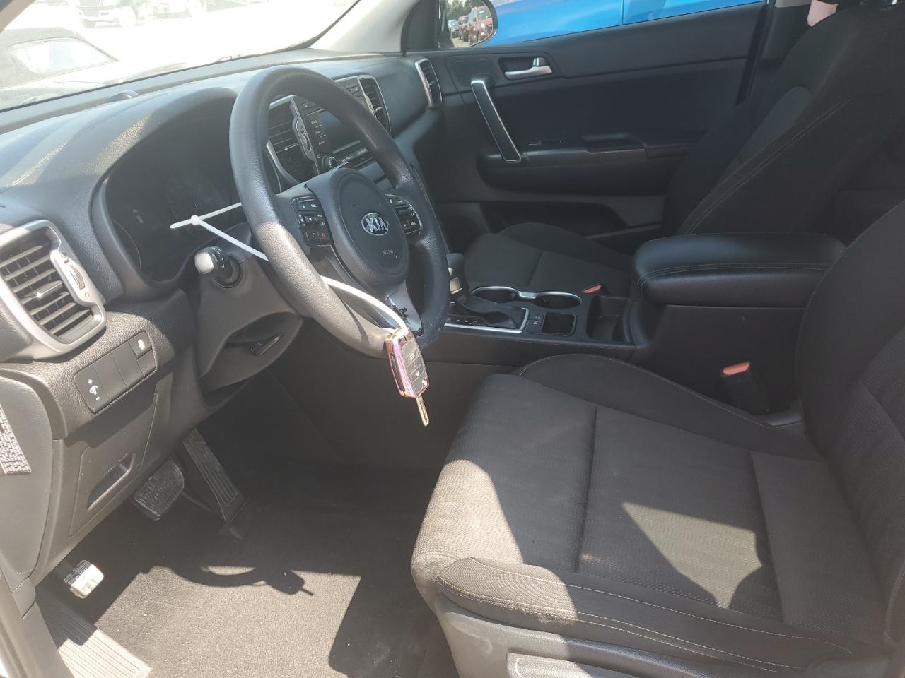 2017 Kia Sportage Lx VIN: KNDPM3AC4H7116236 Lot: 81143525