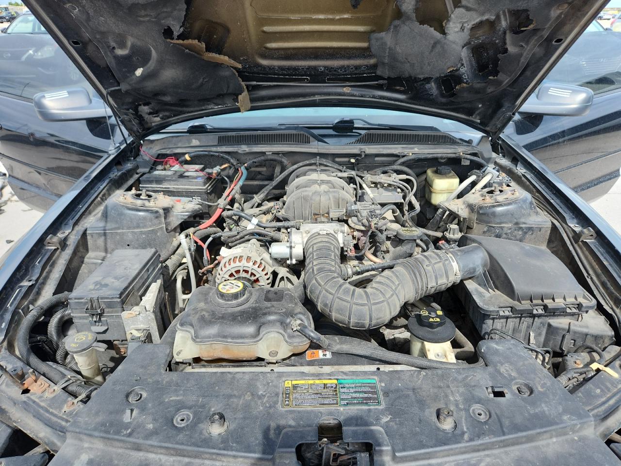 2006 Ford Mustang VIN: 1ZVFT84N765100126 Lot: 83865615