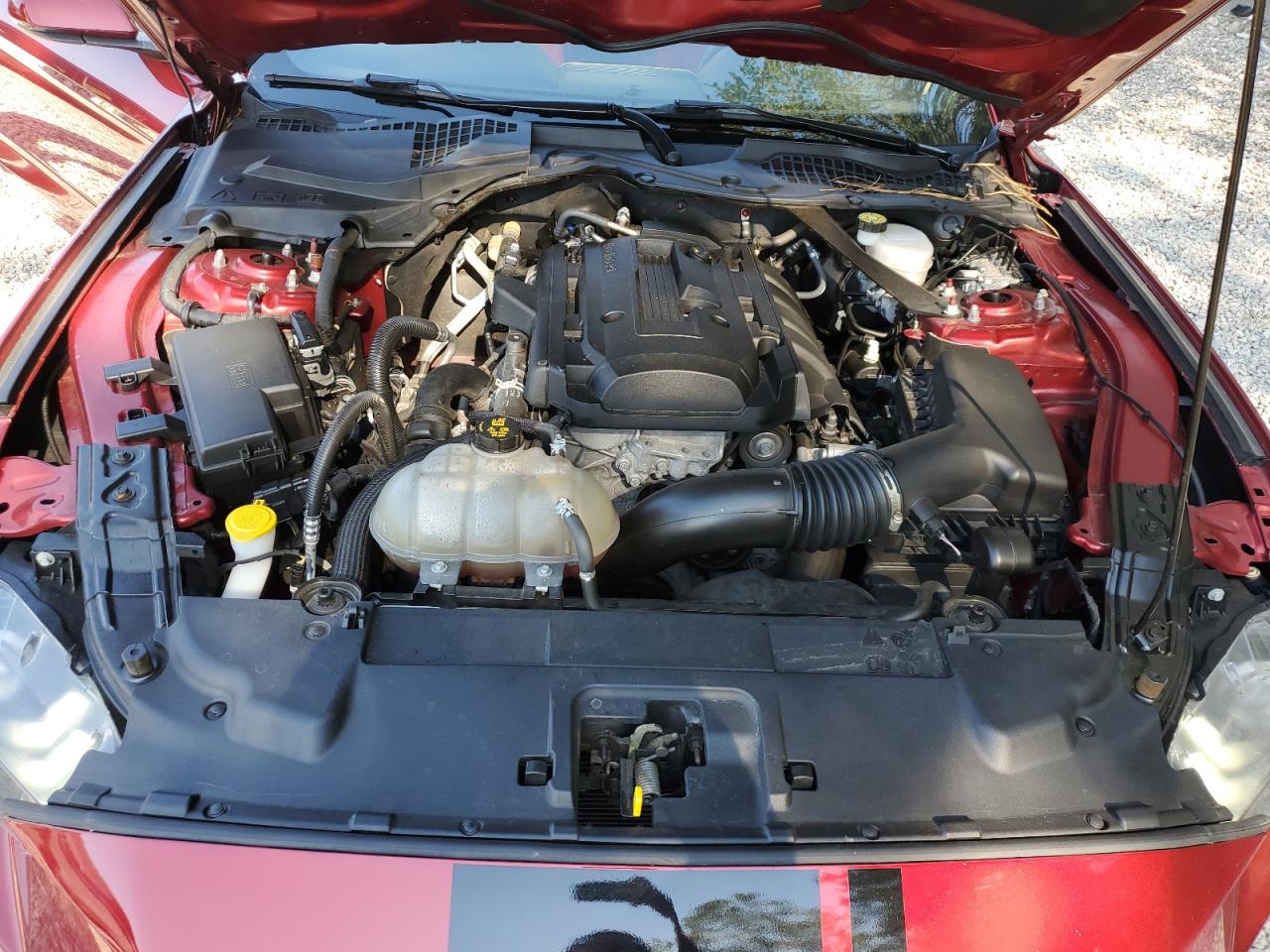 2019 Ford Mustang VIN: 1FATP8UH8K5204094 Lot: 80077795